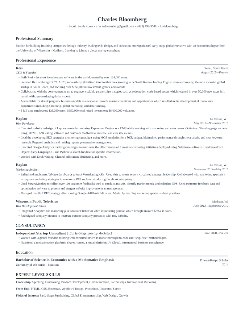 Professional I Resume Template